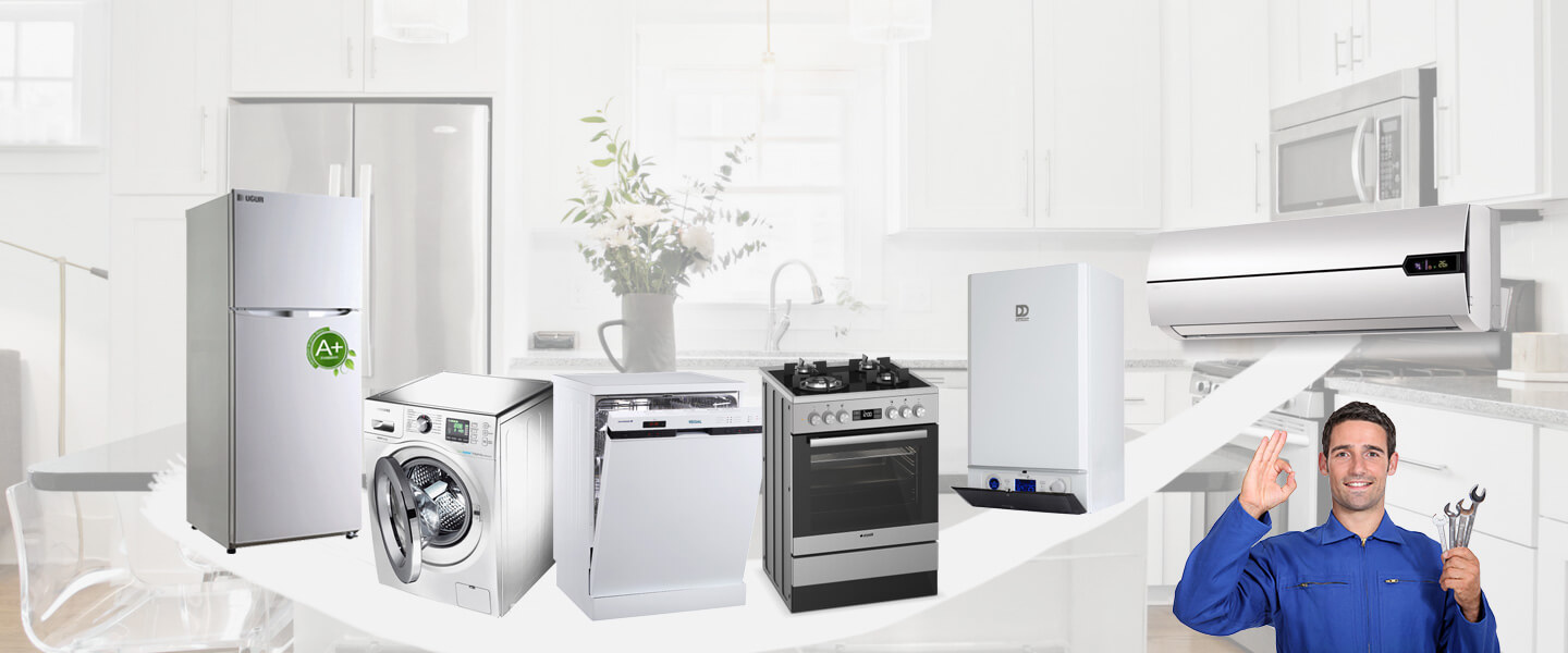 Evka 6 Electrolux Servisi
